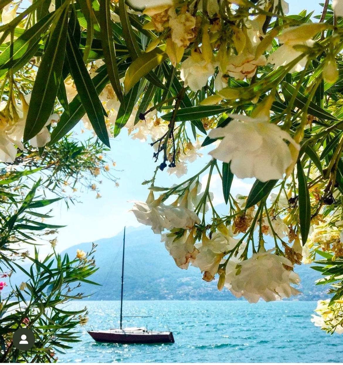 Casa Didi & Rosi - Lake Como คอลีโก ภายนอก รูปภาพ
